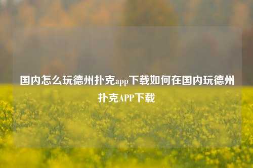 国内怎么玩德州扑克app下载如何在国内玩德州扑克APP下载