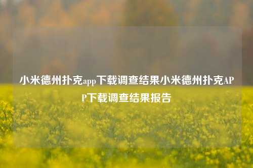 小米德州扑克app下载调查结果小米德州扑克APP下载调查结果报告