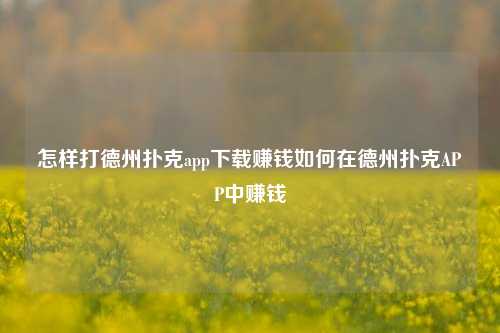 怎样打德州扑克app下载赚钱如何在德州扑克APP中赚钱