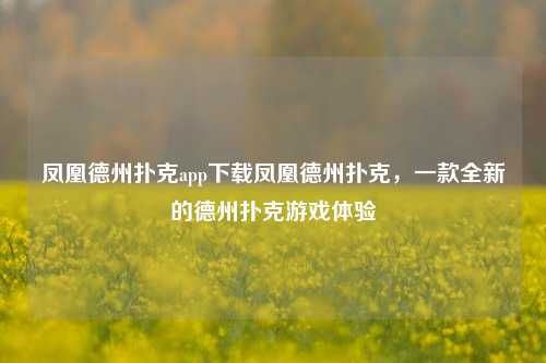 凤凰德州扑克app下载凤凰德州扑克，一款全新的德州扑克游戏体验