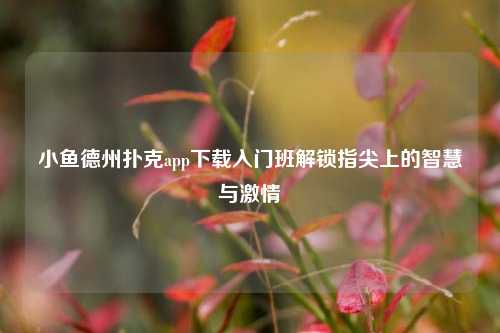 小鱼德州扑克app下载入门班解锁指尖上的智慧与激情