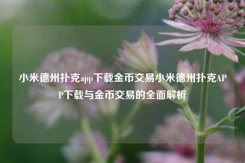 小米德州扑克app下载金币交易小米德州扑克APP下载与金币交易的全面解析