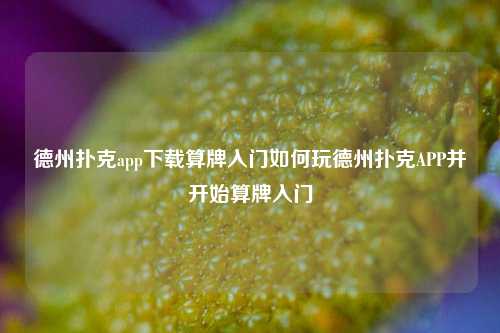 德州扑克app下载算牌入门如何玩德州扑克APP并开始算牌入门