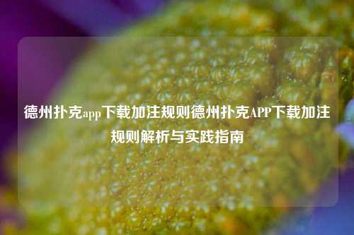 德州扑克app下载加注规则德州扑克APP下载加注规则解析与实践指南