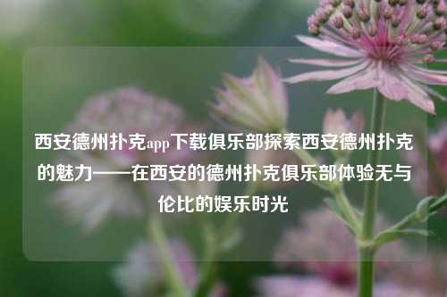 西安德州扑克app下载俱乐部探索西安德州扑克的魅力——在西安的德州扑克俱乐部体验无与伦比的娱乐时光