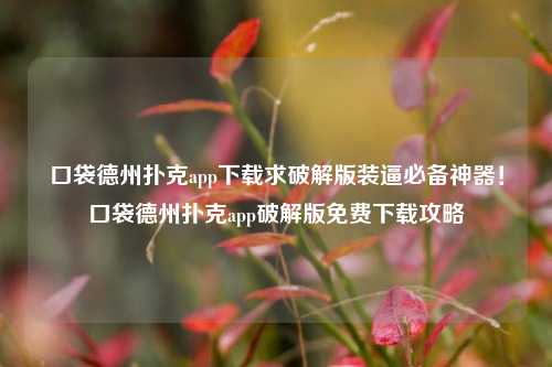 口袋德州扑克app下载求破解版装逼必备神器！口袋德州扑克app破解版免费下载攻略