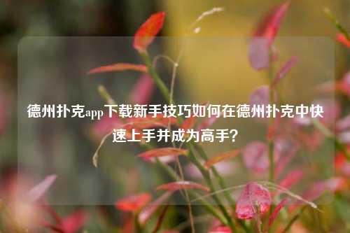 德州扑克app下载新手技巧如何在德州扑克中快速上手并成为高手？