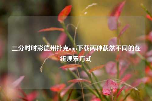 三分时时彩德州扑克app下载两种截然不同的在线娱乐方式