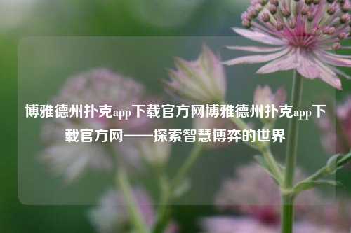 博雅德州扑克app下载官方网博雅德州扑克app下载官方网——探索智慧博弈的世界