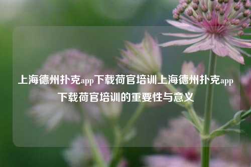 上海德州扑克app下载荷官培训上海德州扑克app下载荷官培训的重要性与意义
