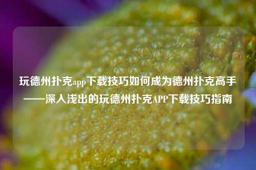 玩德州扑克app下载技巧如何成为德州扑克高手——深入浅出的玩德州扑克APP下载技巧指南