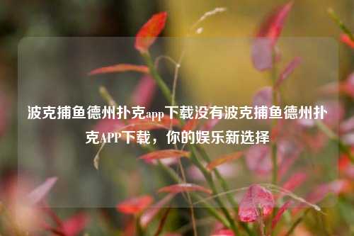 波克捕鱼德州扑克app下载没有波克捕鱼德州扑克APP下载，你的娱乐新选择