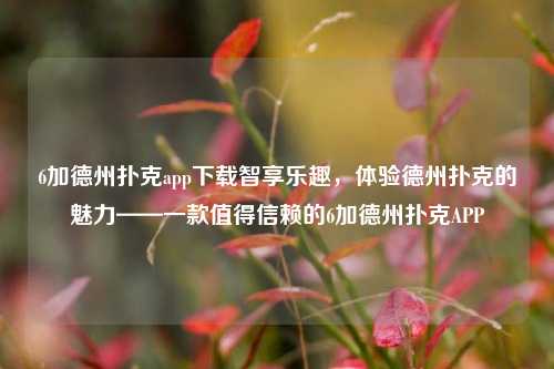 6加德州扑克app下载智享乐趣，体验德州扑克的魅力——一款值得信赖的6加德州扑克APP
