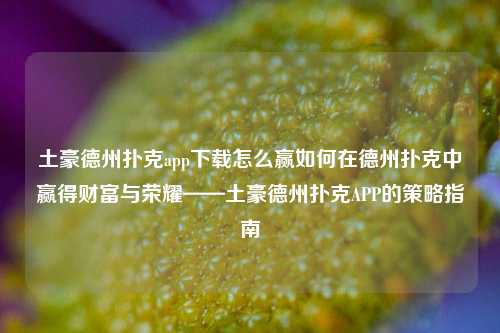 土豪德州扑克app下载怎么赢如何在德州扑克中赢得财富与荣耀——土豪德州扑克APP的策略指南