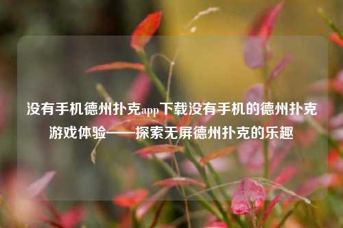 没有手机德州扑克app下载没有手机的德州扑克游戏体验——探索无屏德州扑克的乐趣