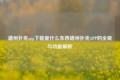 德州扑克app下载是什么东西德州扑克APP的全貌与功能解析