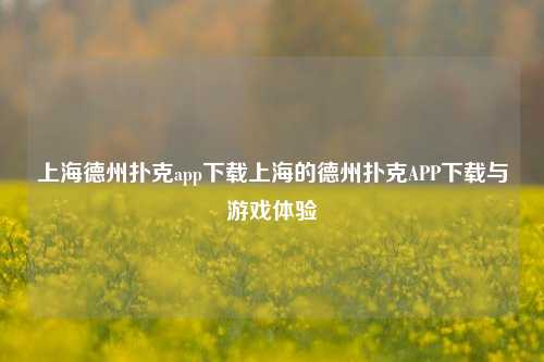 上海德州扑克app下载上海的德州扑克APP下载与游戏体验