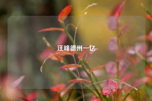 汪峰德州一亿