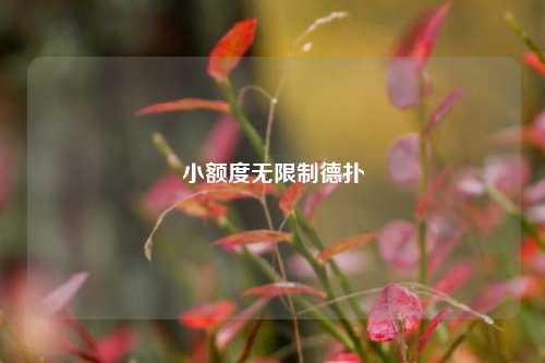 小额度无限制德扑