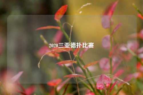 2020三亚德扑比赛