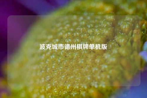 波克城市德州棋牌单机版