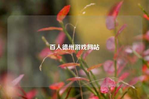 百人德州游戏网站