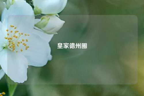 皇家德州圈