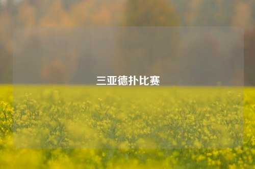 三亚德扑比赛