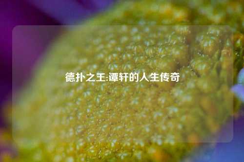 德扑之王:谭轩的人生传奇