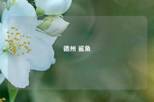 德州 鲨鱼
