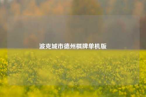 波克城市德州棋牌单机版