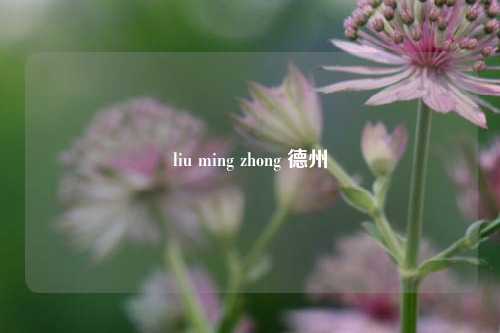liu ming zhong 德州