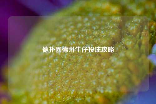 德扑圈德州牛仔投注攻略