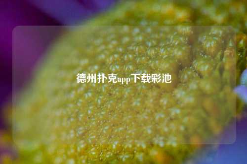 德州扑克app下载彩池