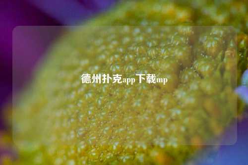 德州扑克app下载mp