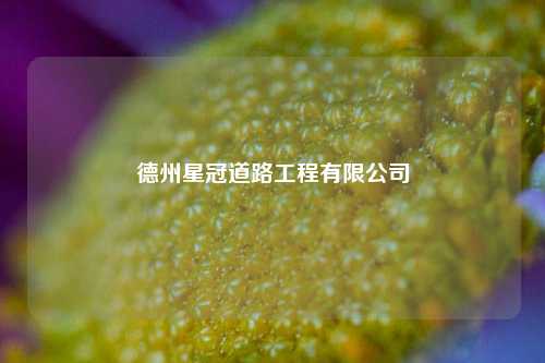 德州星冠道路工程有限公司