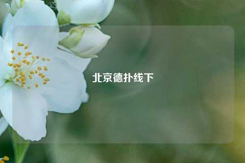 北京德扑线下