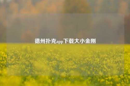 德州扑克app下载大小金刚