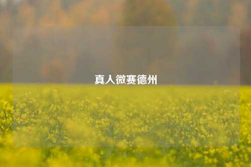 真人微赛德州