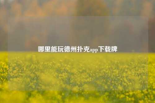 哪里能玩德州扑克app下载牌