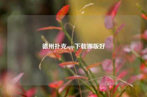 德州扑克app下载哪版好