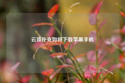 云顶扑克如何下载苹果手机