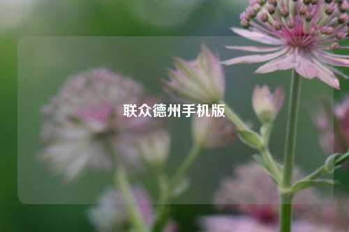 联众德州手机版