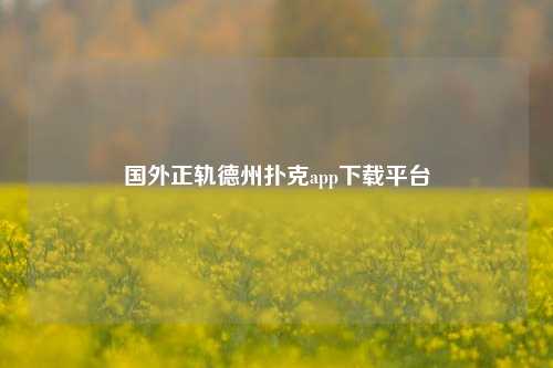 国外正轨德州扑克app下载平台