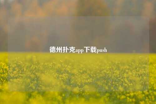 德州扑克app下载push