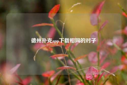 德州扑克app下载相同的对子