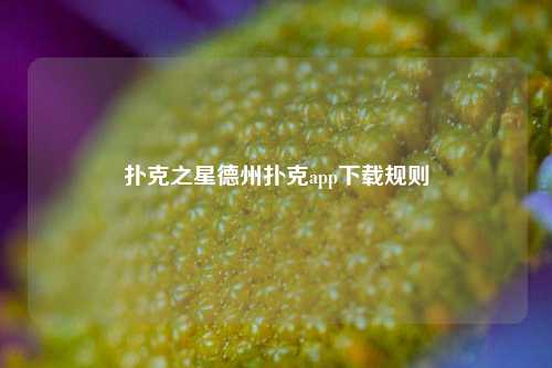 扑克之星德州扑克app下载规则
