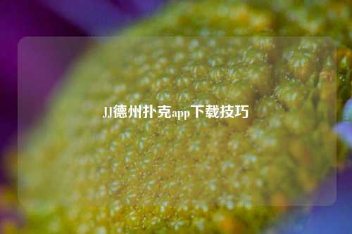 JJ德州扑克app下载技巧