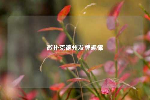 微扑克德州发牌规律