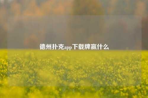 德州扑克app下载牌赢什么
